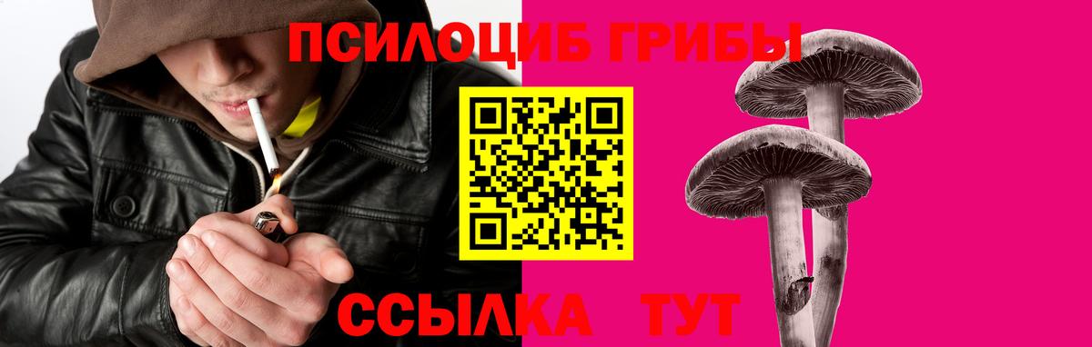 Шебекино  Псилоцибиновые грибы Psilocybine cubensis  Вход с VPN  Галлюциногенные грибы Cubensis 